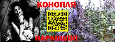 прущие крисы Волжск