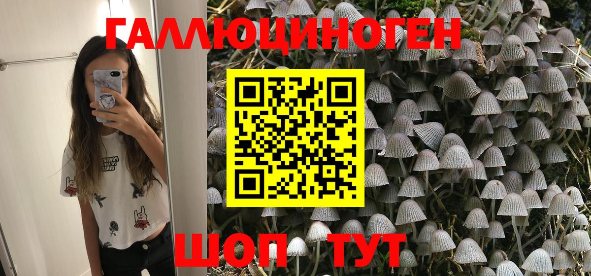 Гусиноозёрск  Псилоцибиновые грибы MAGIC MUSHROOMS  Вход с VPN 